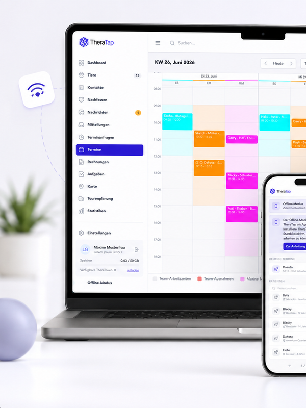Optimale Unterstützung für mobile Therapeuten Optimale Unterstützung für mobile Therapeuten